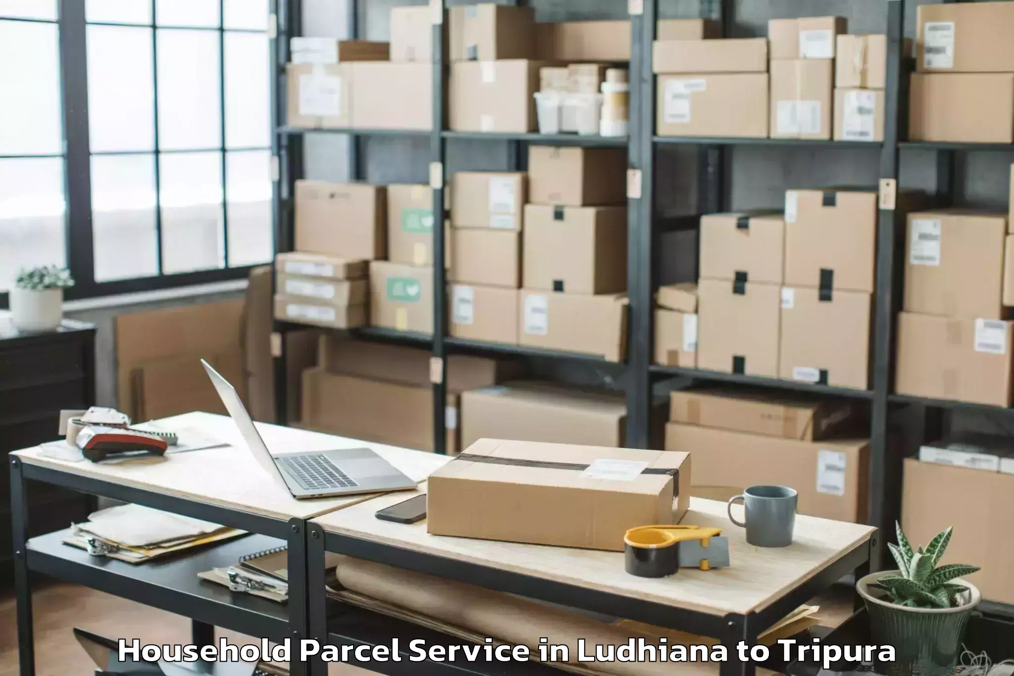 Efficient Ludhiana to Gournagar Household Parcel